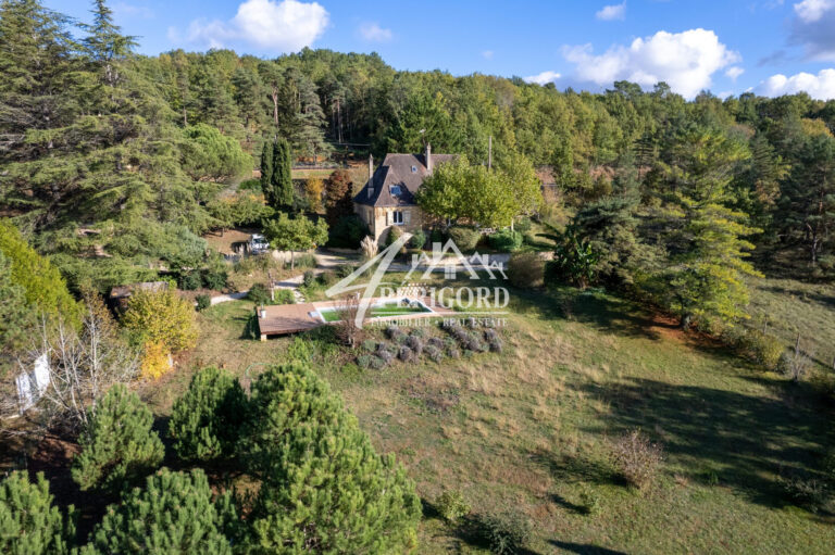 Maison périgourdine de 190 m². Piscine de 8x4 au sel. Offrant une vue dominante. Composée de 3 niveaux. Rez-de-chaussée:-Une entrée.-Un vaste et lumineux espace de vie: Cuisine/salon/salle à manger donnant sur une véranda.- 2 chambres dont une suite parentale.-Salle de bain